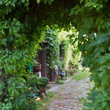 Πανσιόν Altstadt Borna