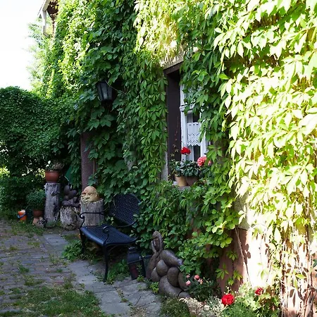 Altstadt Borna